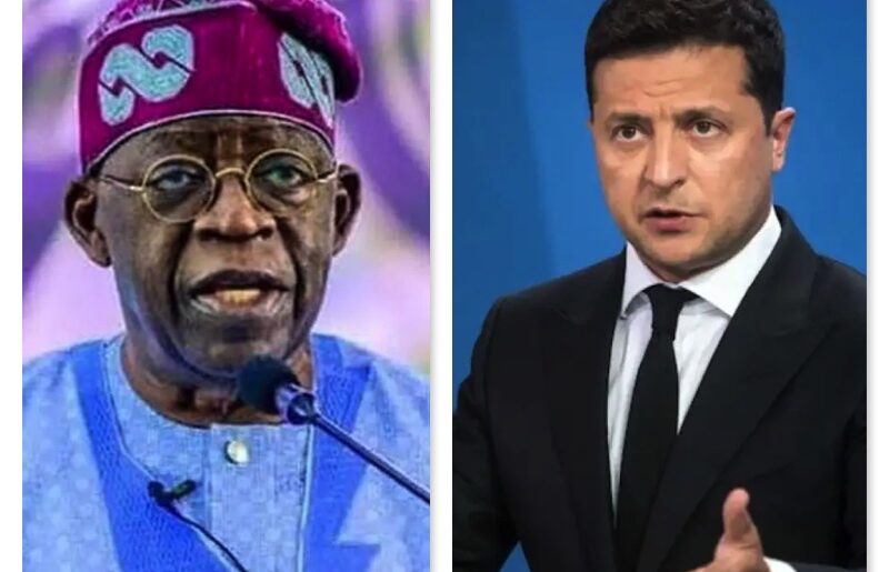 Tinubu and Zelenskyy